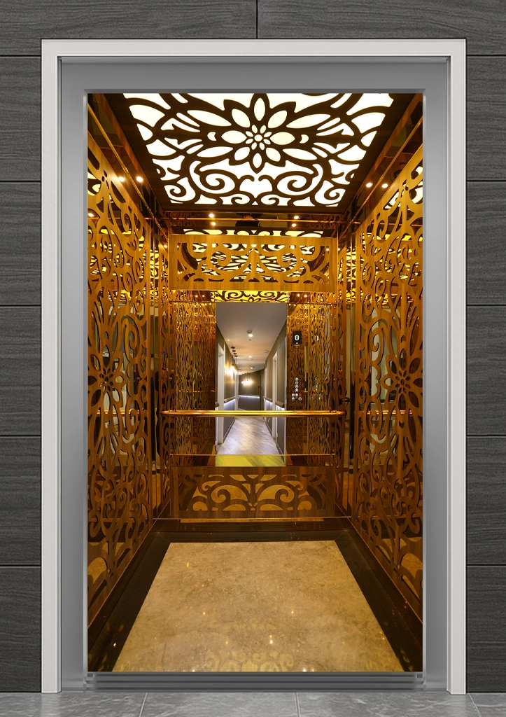MESI 111 مصعد كابينة